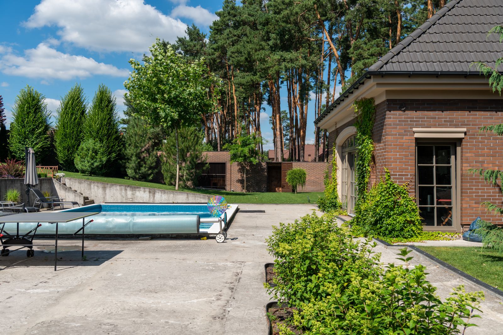 Dive In — Elite Custom Pools